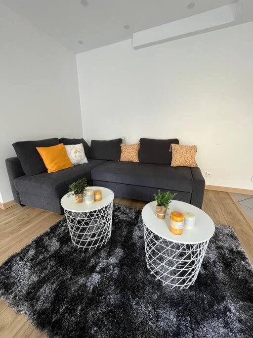 Superbe Appartement Moderne En Rez-De-Chaussee Ozoir-la-Ferriere Exterior photo